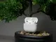 Tôi sợ rằng AirPods Pro 3 có thể là sự thất vọng lớn nhất hiện nay